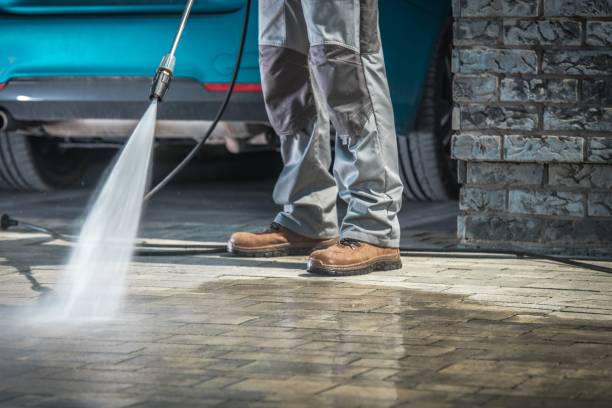 Best Gutter Cleaning  in Brookdale, NJ